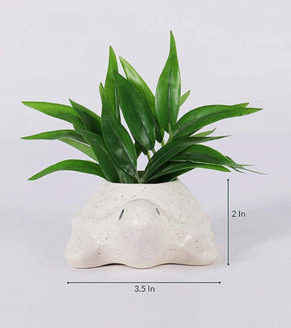 Ceramic Pots for Indoor Plants - Tortoise S/2