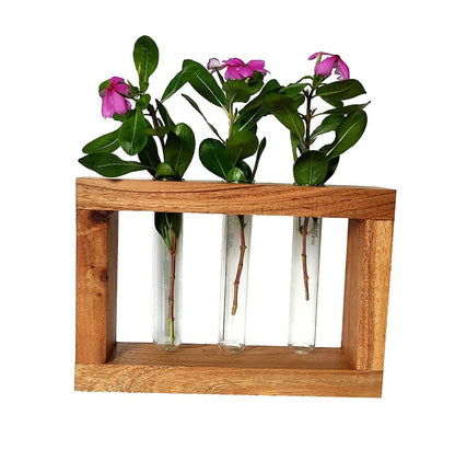 Wooden triple test tube planter