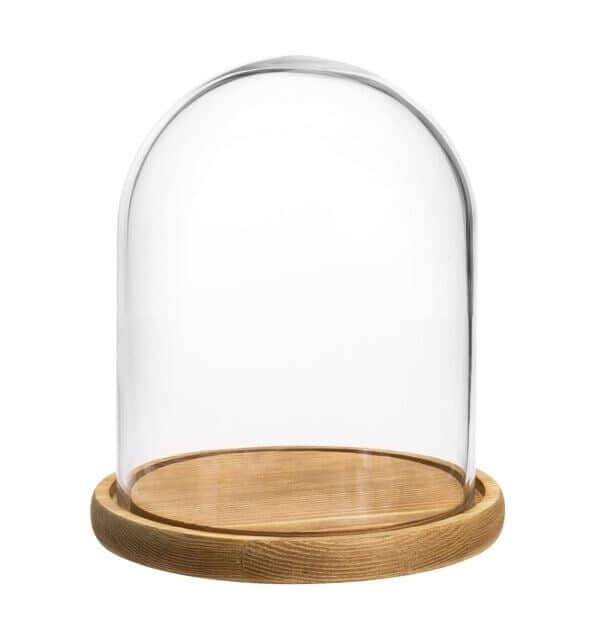 Decorative Clear Glass Dome , Cloche Bell Jar Display - 6 x 9 inch