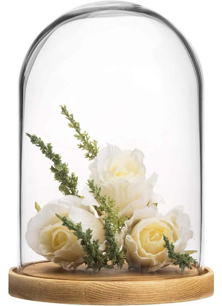 Decorative Clear Glass Dome , Cloche Bell Jar Display - 6 x 9 inch