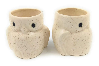 Mini Planters Set of 2 , Succulent Pot - OWL S/2