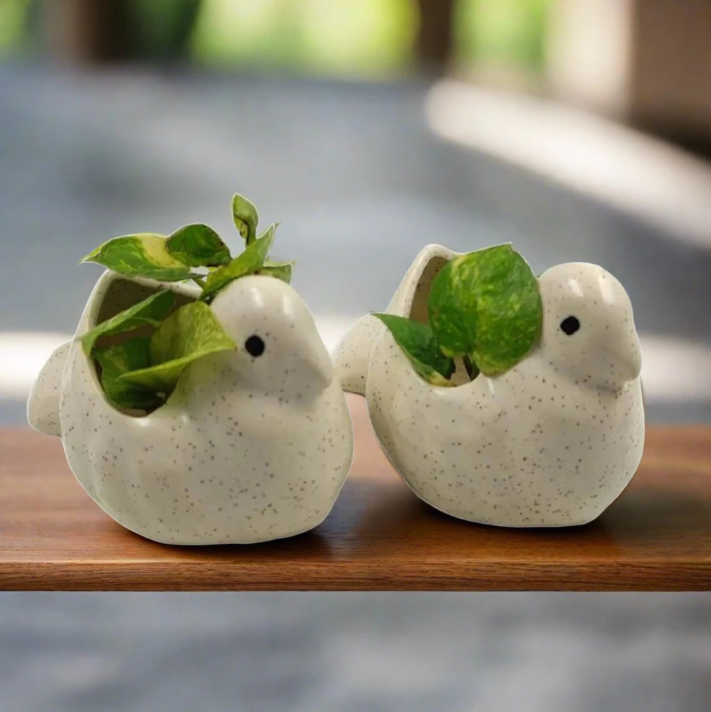 Ceramic bird planter set of 2