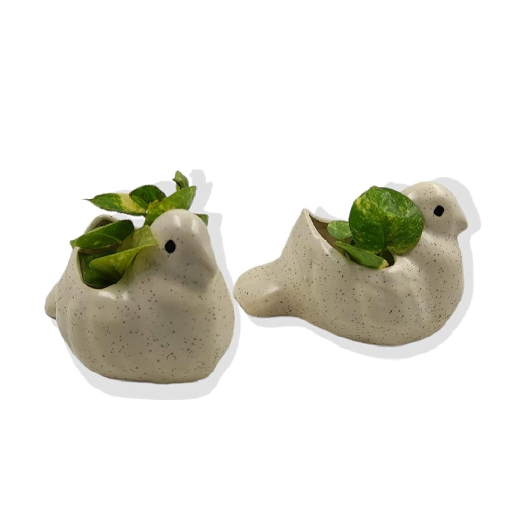 Ceramic bird planter set of 2